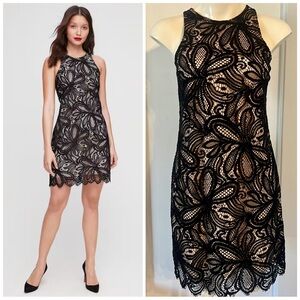 Babaton Hamptons Elegant Black Lace Dress Size 2 XS